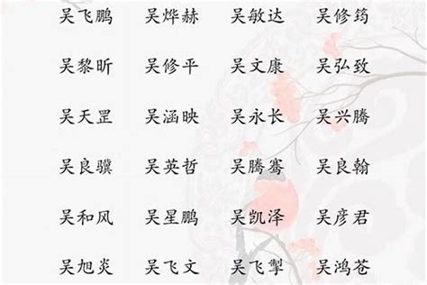 吳姓取名|100个吴姓寓意好的男孩名字 好听稀少的吴姓男孩名大。